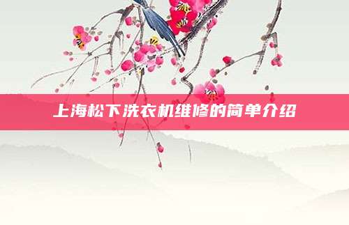 上海松下洗衣机维修的简单介绍