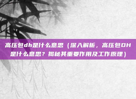 高压包dh是什么意思（深入解析，高压包DH是什么意思？揭秘其重要作用及工作原理）