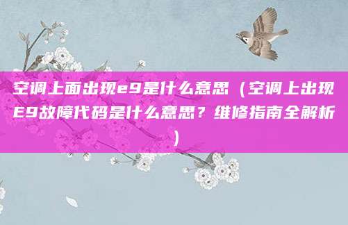 空调上面出现e9是什么意思（空调上出现E9故障代码是什么意思？维修指南全解析）