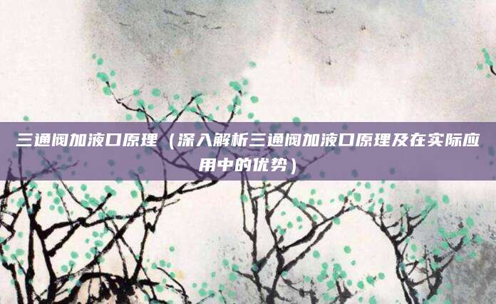 三通阀加液口原理（深入解析三通阀加液口原理及在实际应用中的优势）