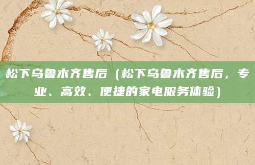 松下乌鲁木齐售后(松下乌鲁木齐售后,专业、高效、便捷的家电服务体验)