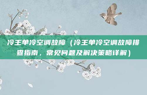 冷王单冷空调故障（冷王单冷空调故障排查指南，常见问题及解决策略详解）