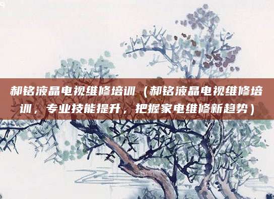 郝铭液晶电视维修培训（郝铭液晶电视维修培训，专业技能提升，把握家电维修新趋势）