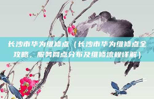 长沙市华为维修点(长沙市华为维修点全攻略,服务网点分布及维修流程详解)