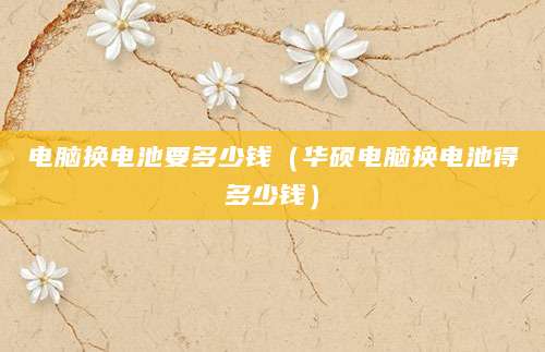 电脑换电池要多少钱（华硕电脑换电池得多少钱）