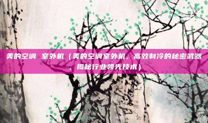 美的空调 室外机(美的空调室外机,高效制冷的秘密武器,揭秘行业领先技术)