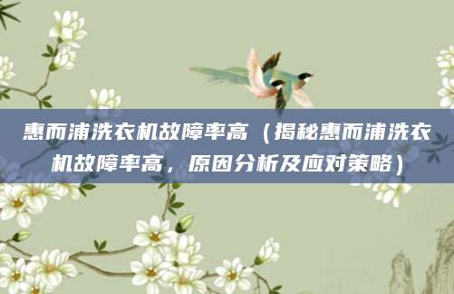 惠而浦洗衣机故障率高（揭秘惠而浦洗衣机故障率高，原因分析及应对策略）