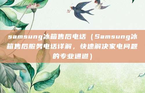 samsung冰箱售后电话（Samsung冰箱售后服务电话详解，快速解决家电问题的专业通道）