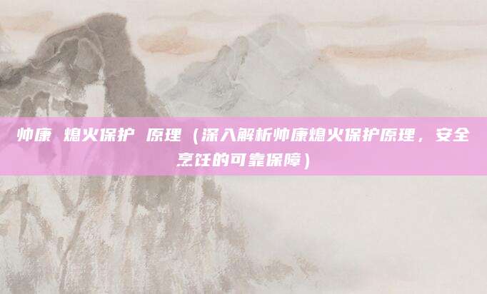 帅康 熄火保护 原理(深入解析帅康熄火保护原理,安全烹饪的可靠保障)