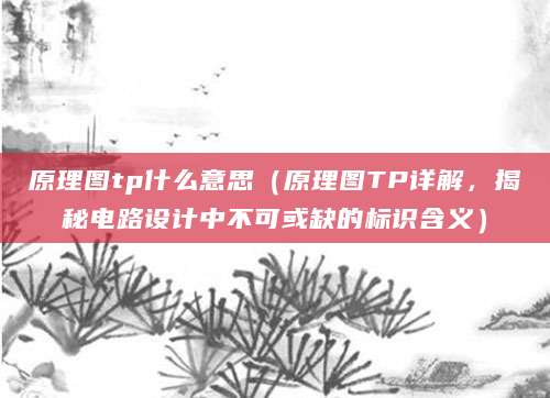 原理图tp什么意思(原理图TP详解,揭秘电路设计中不可或缺的标识含义)