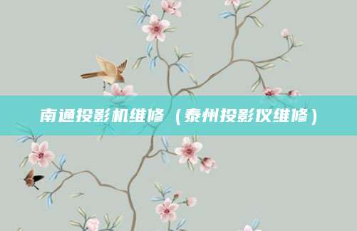 南通投影机维修（泰州投影仪维修）