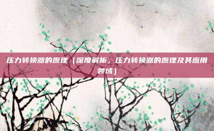 压力转换器的原理（深度解析，压力转换器的原理及其应用领域）