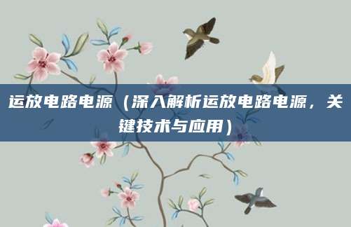 运放电路电源（深入解析运放电路电源，关键技术与应用）