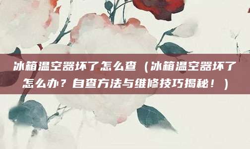 冰箱温空器坏了怎么查(冰箱温空器坏了怎么办?自查方法与维修技巧揭秘!)