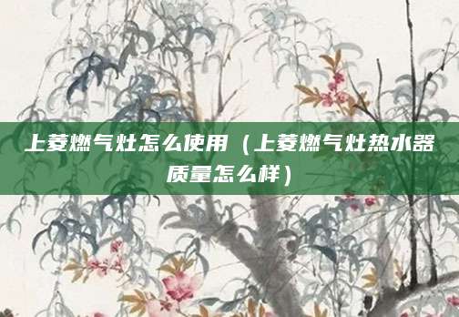 上菱燃气灶怎么使用（上菱燃气灶热水器质量怎么样）