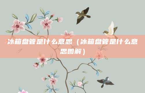 冰箱盘管是什么意思（冰箱盘管是什么意思图解）