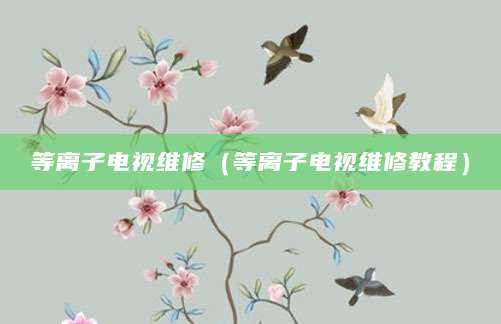 等离子电视维修（等离子电视维修教程）