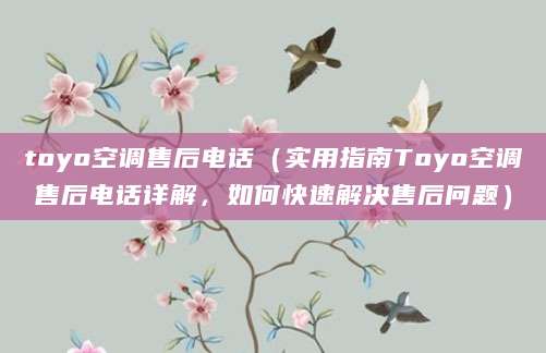 toyo空调售后电话（实用指南Toyo空调售后电话详解，如何快速解决售后问题）