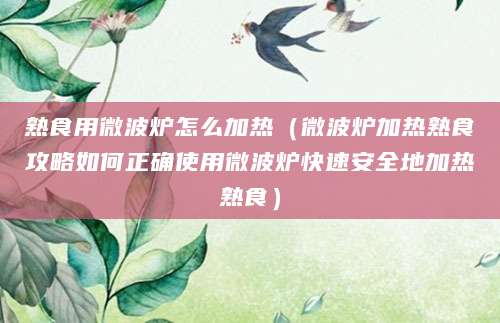 熟食用微波炉怎么加热（微波炉加热熟食攻略如何正确使用微波炉快速安全地加热熟食）