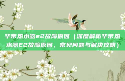 华帝热水器e2故障原因（深度解析华帝热水器E2故障原因，常见问题与解决攻略）