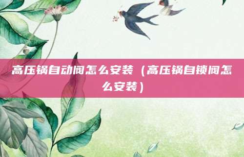高压锅自动阀怎么安装（高压锅自锁阀怎么安装）