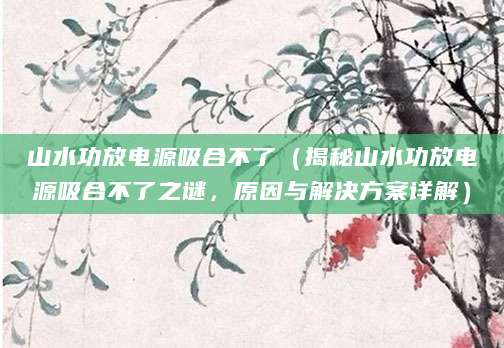 山水功放电源吸合不了（揭秘山水功放电源吸合不了之谜，原因与解决方案详解）