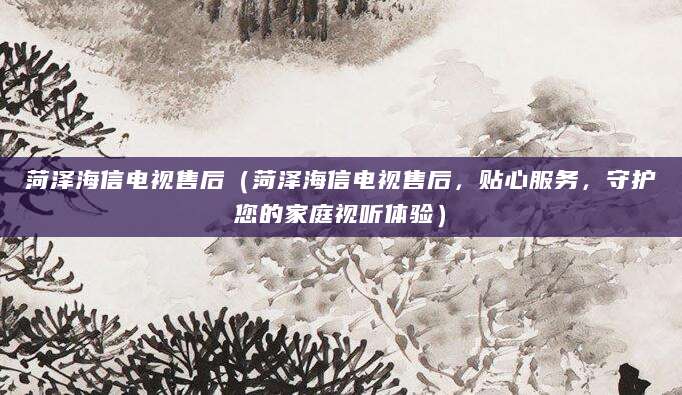 菏泽海信电视售后（菏泽海信电视售后，贴心服务，守护您的家庭视听体验）
