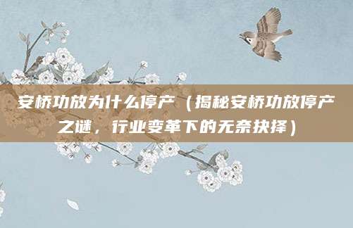 安桥功放为什么停产（揭秘安桥功放停产之谜，行业变革下的无奈抉择）