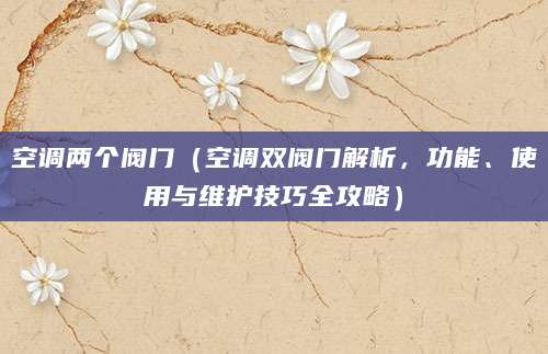空调两个阀门（空调双阀门解析，功能、使用与维护技巧全攻略）