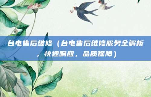 台电售后维修（台电售后维修服务全解析，快速响应，品质保障）