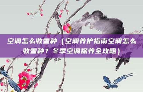 空调怎么收雪种（空调养护指南空调怎么收雪种？冬季空调保养全攻略）