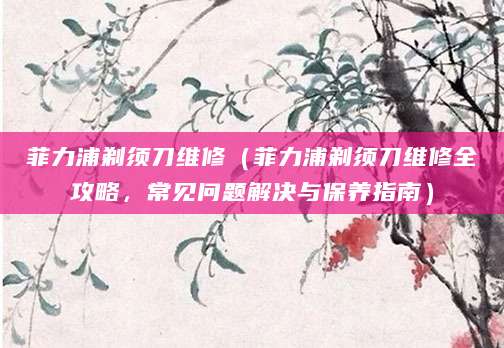 菲力浦剃须刀维修(菲力浦剃须刀维修全攻略,常见问题解决与保养指南)