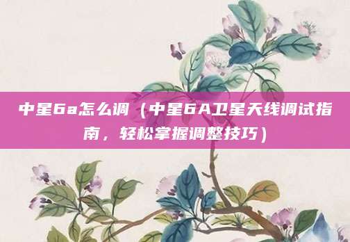 中星6a怎么调（中星6A卫星天线调试指南，轻松掌握调整技巧）