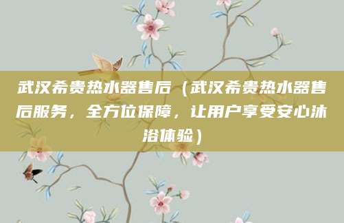 武汉希贵热水器售后（武汉希贵热水器售后服务，全方位保障，让用户享受安心沐浴体验）