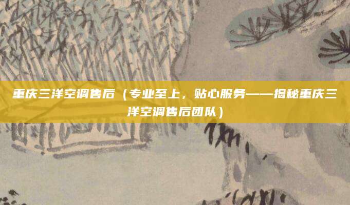 重庆三洋空调售后（专业至上，贴心服务——揭秘重庆三洋空调售后团队）