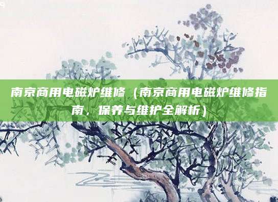 南京商用电磁炉维修（南京商用电磁炉维修指南，保养与维护全解析）