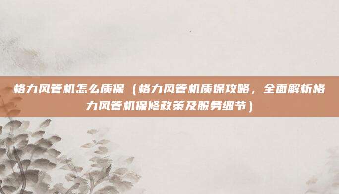 格力风管机怎么质保（格力风管机质保攻略，全面解析格力风管机保修政策及服务细节）