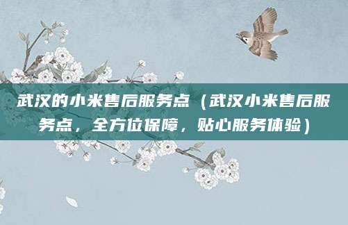 武汉的小米售后服务点（武汉小米售后服务点，全方位保障，贴心服务体验）