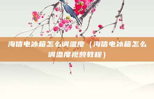 海信电冰箱怎么调温度（海信电冰箱怎么调温度视频教程）