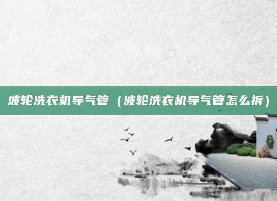 波轮洗衣机导气管(波轮洗衣机导气管怎么拆)