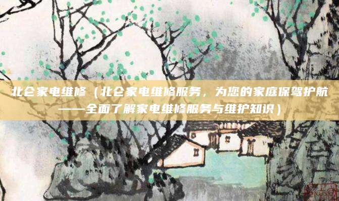 北仑家电维修（北仑家电维修服务，为您的家庭保驾护航——全面了解家电维修服务与维护知识）