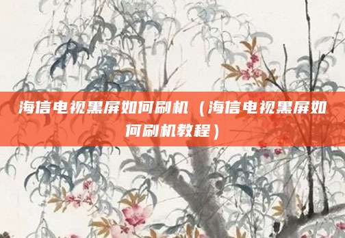 海信电视黑屏如何刷机（海信电视黑屏如何刷机教程）