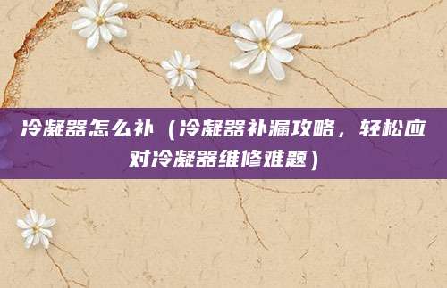 冷凝器怎么补（冷凝器补漏攻略，轻松应对冷凝器维修难题）