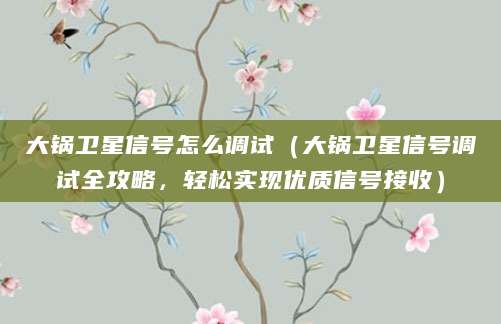 大锅卫星信号怎么调试（大锅卫星信号调试全攻略，轻松实现优质信号接收）