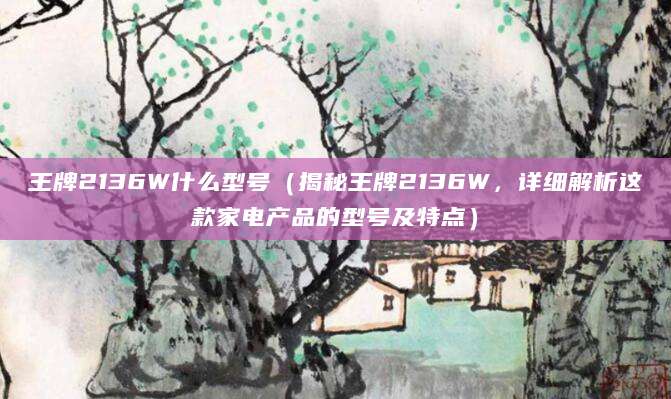 王牌2136W什么型号（揭秘王牌2136W，详细解析这款家电产品的型号及特点）