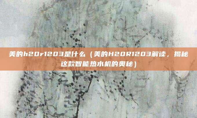 美的h20r1203是什么（美的H20R1203解读，揭秘这款智能热水机的奥秘）