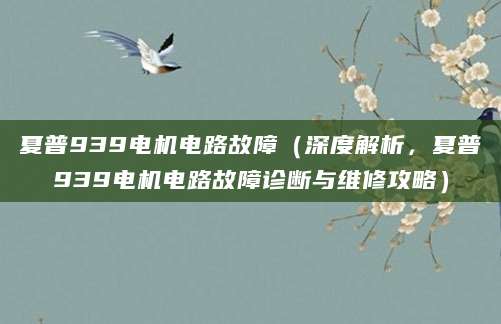 夏普939电机电路故障（深度解析，夏普939电机电路故障诊断与维修攻略）
