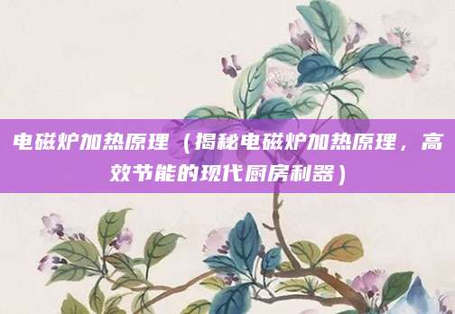电磁炉加热原理（揭秘电磁炉加热原理，高效节能的现代厨房利器）