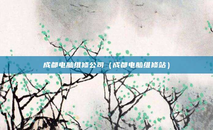 成都电脑维修公司(成都电脑维修站)