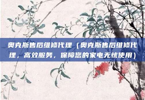 奥克斯售后维修代理（奥克斯售后维修代理，高效服务，保障您的家电无忧使用）